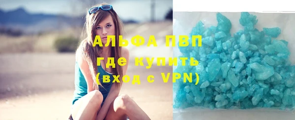 гидра Белокуриха