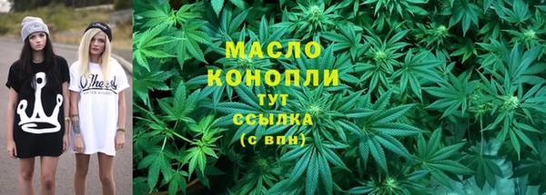 прущий лед Богданович