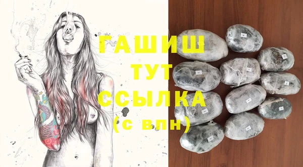 прущий лед Богданович