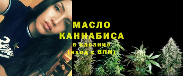 прущий лед Богданович