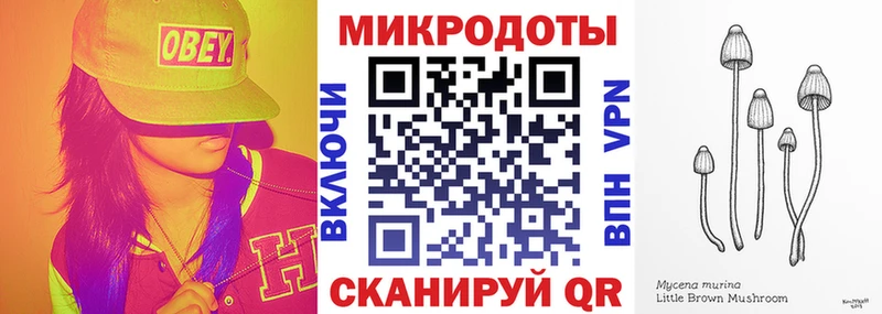 Псилоцибиновые грибы Psilocybe  где купить наркоту  Бежецк 